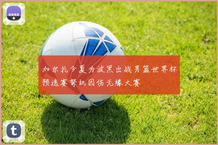 加尔扎今夏为波黑出战男篮世界杯预选赛弩机因伤无缘大赛